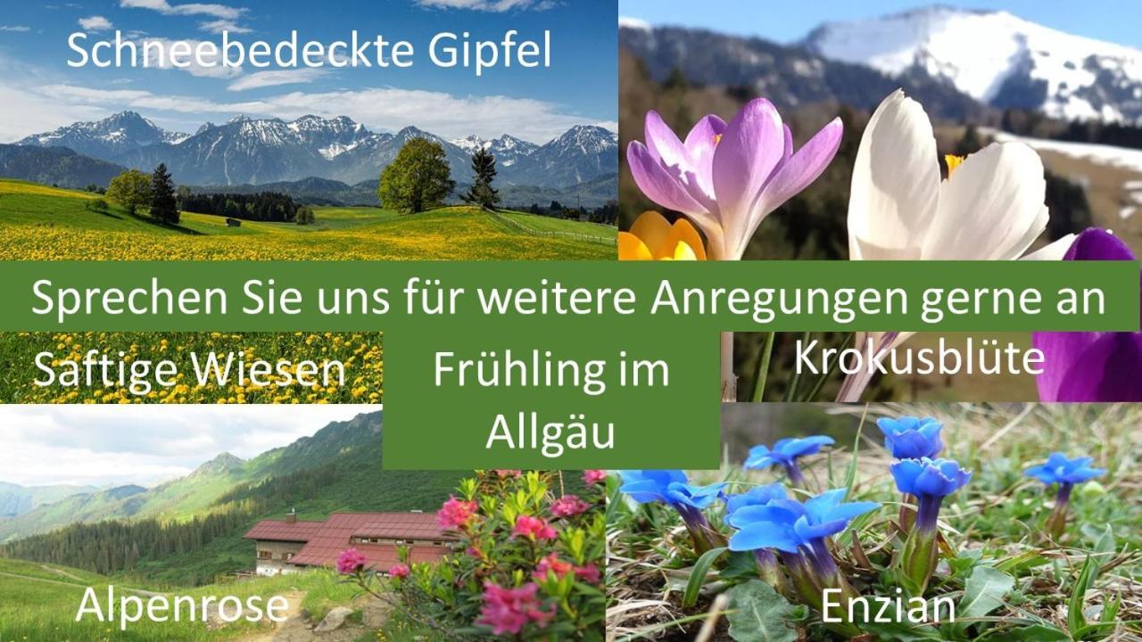 Allgaeu Bergluft Apartment *
