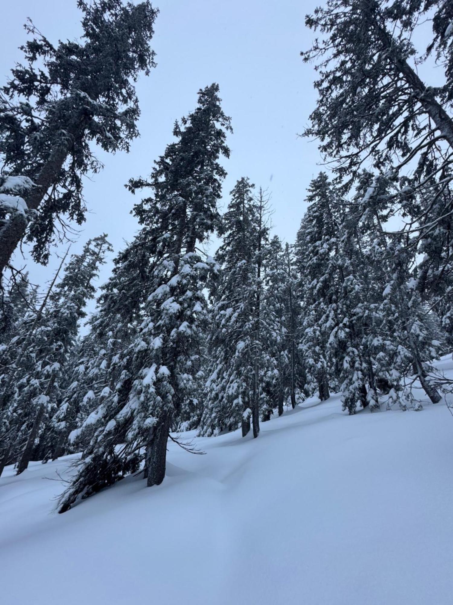 Allgaeu Bergluft Weitnau