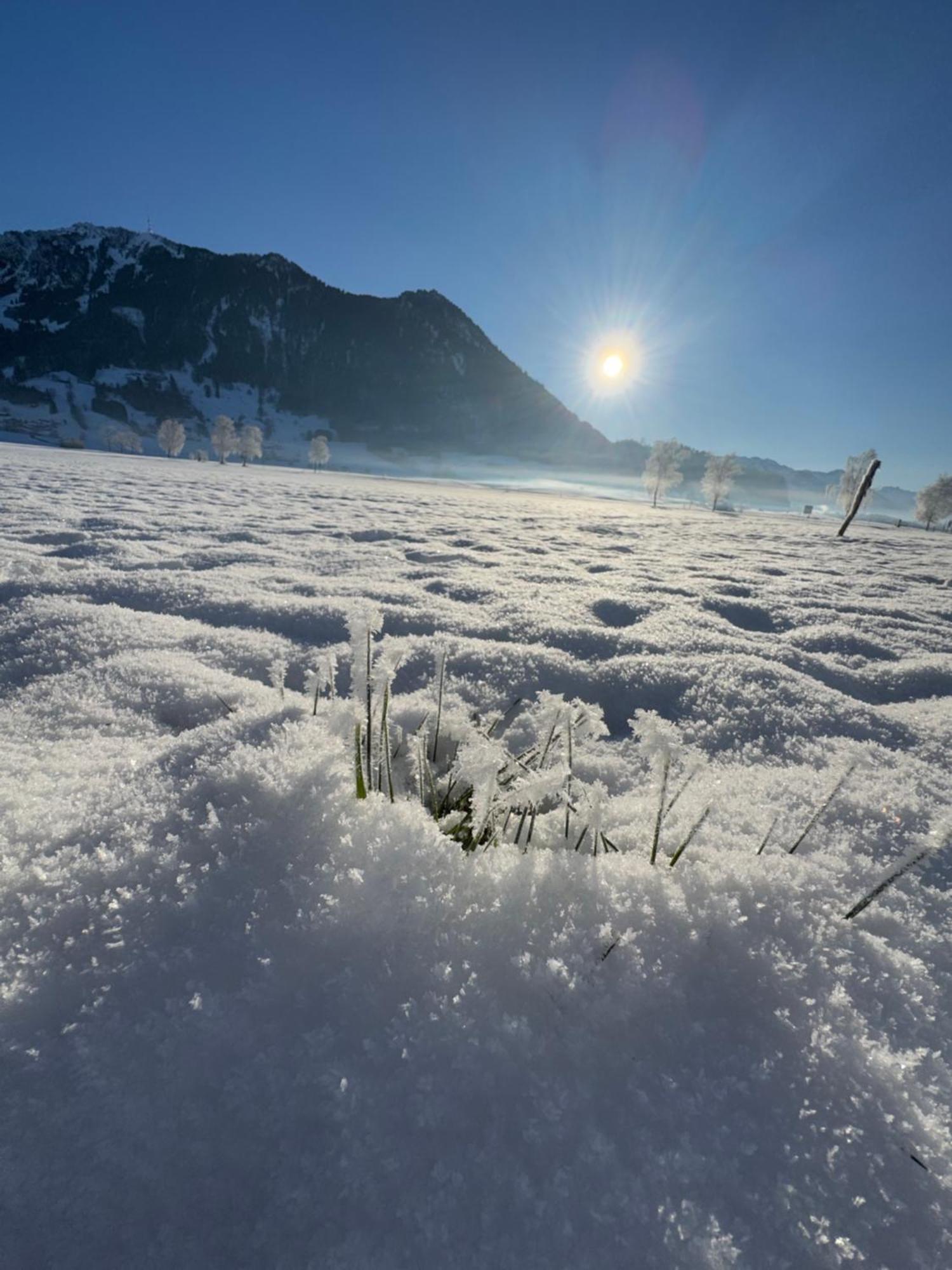 Allgaeu Bergluft *