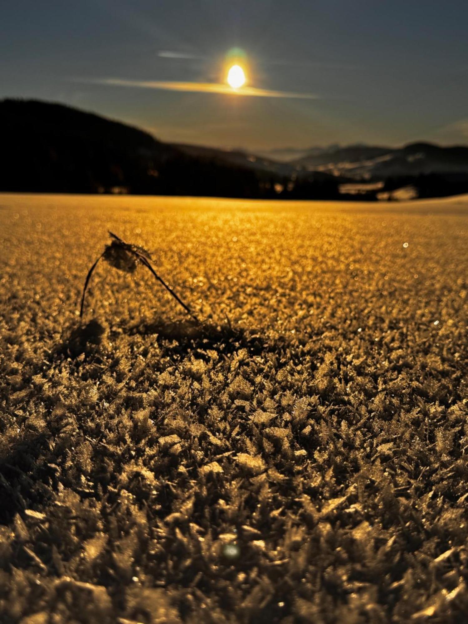 Allgaeu Bergluft