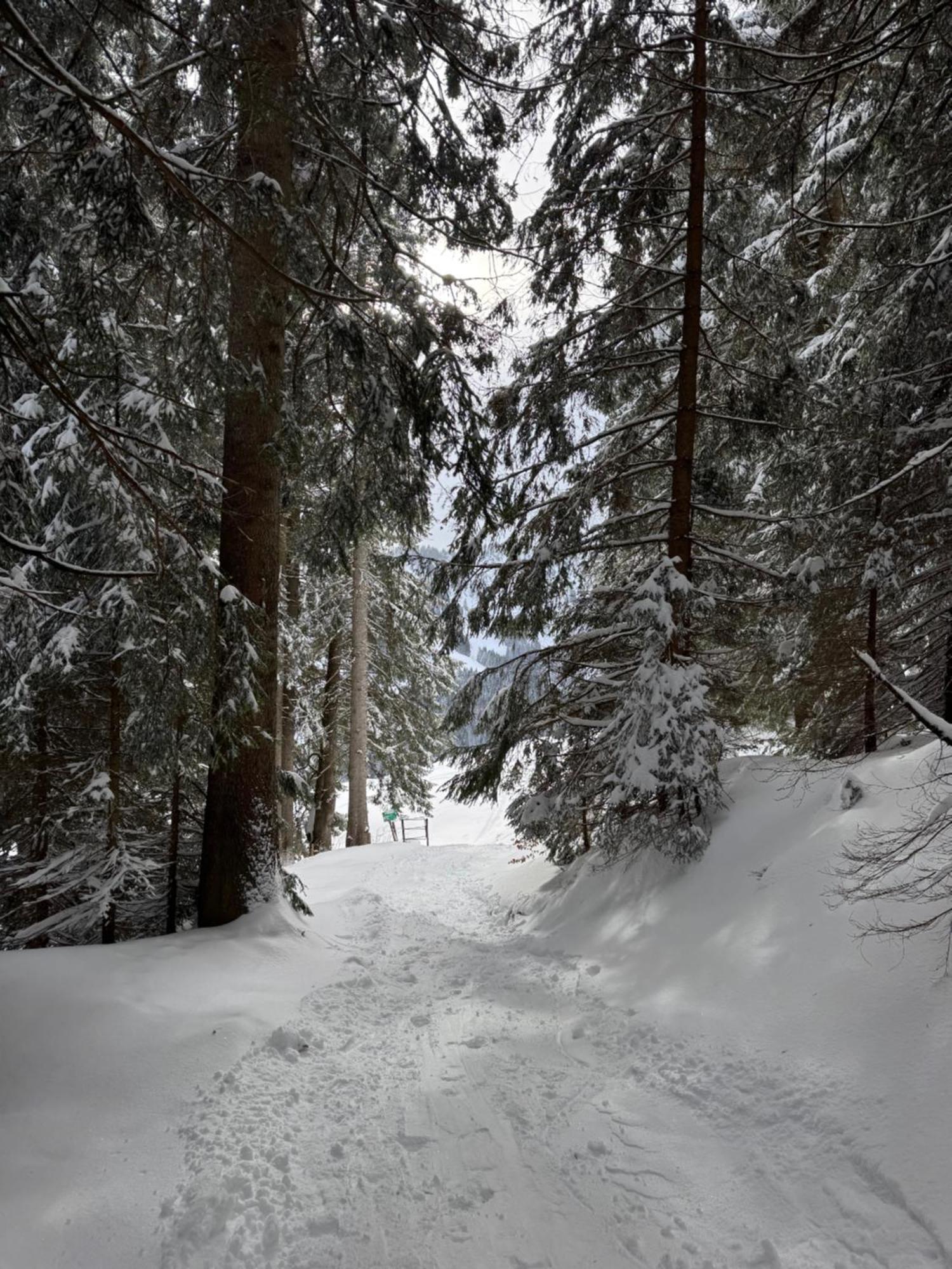 Allgaeu Bergluft *