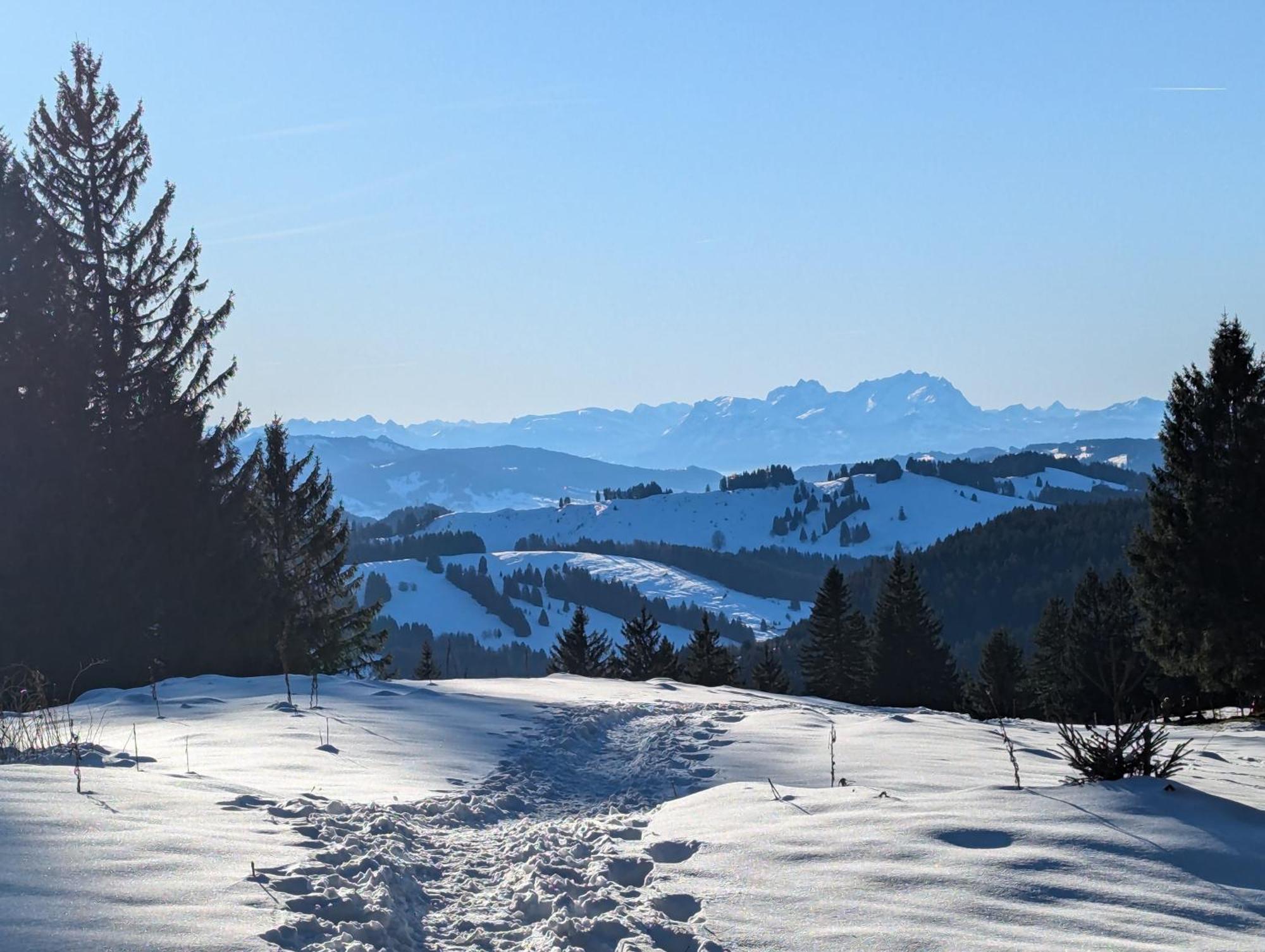 Allgaeu Bergluft Apartment Weitnau