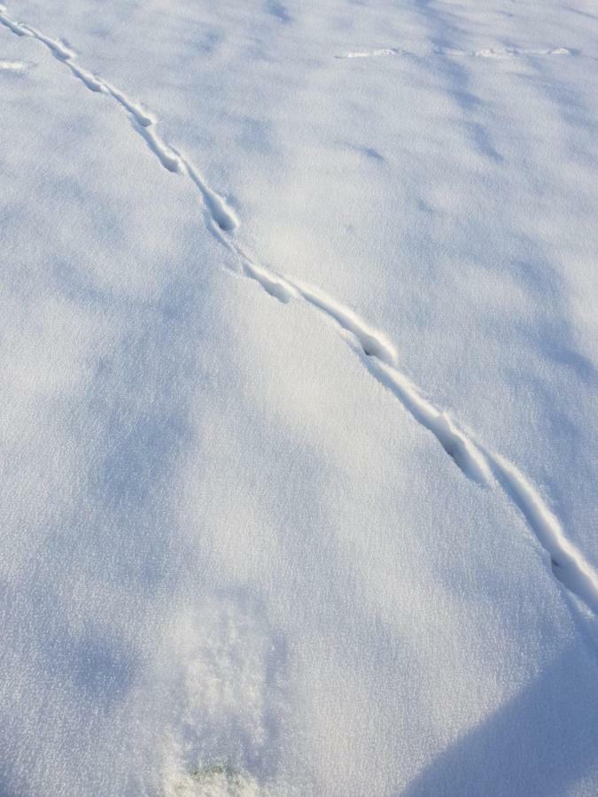 Allgaeu Bergluft * Weitnau