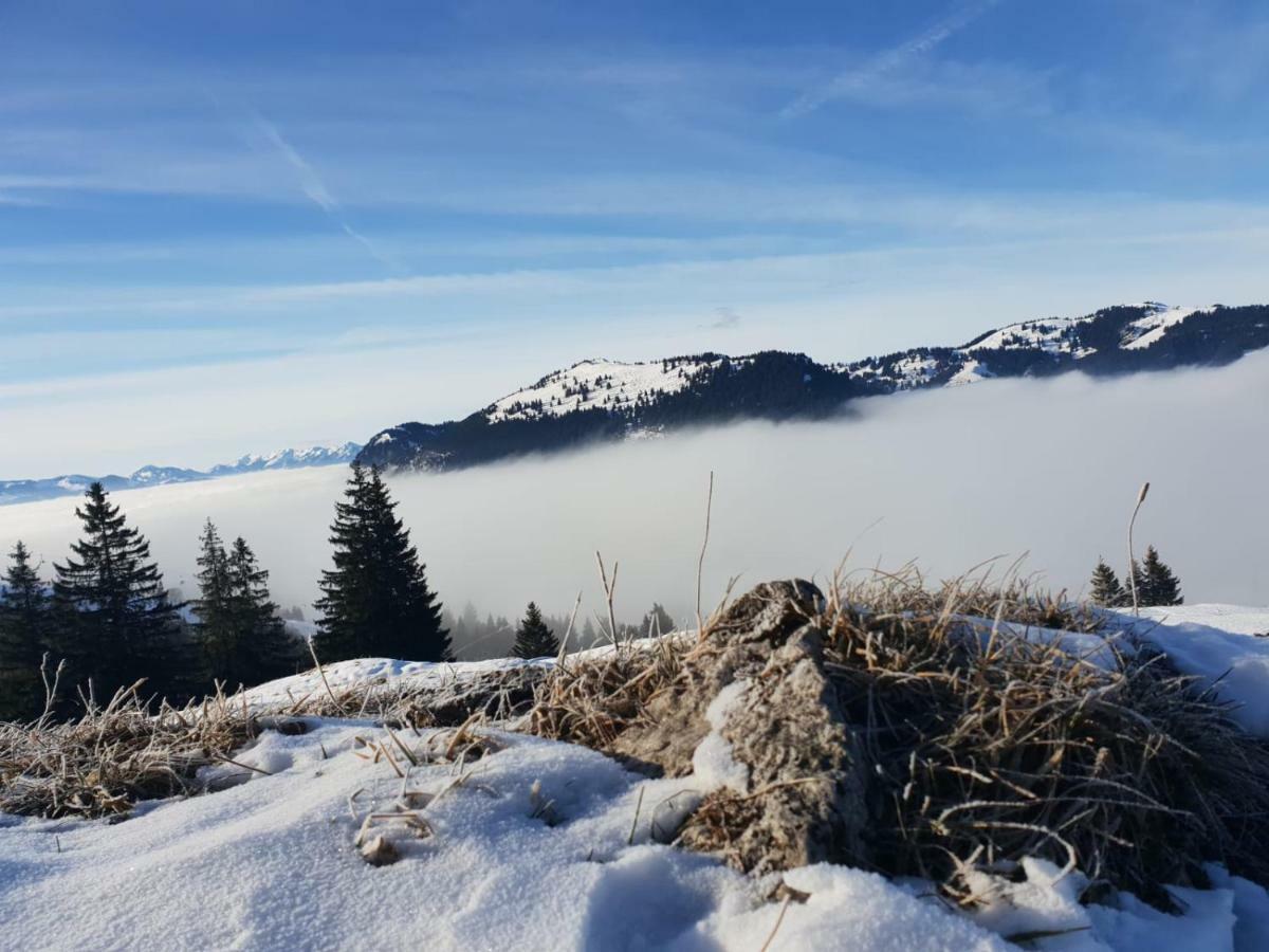 Allgaeu Bergluft Apartment